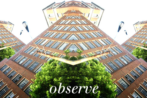 observe